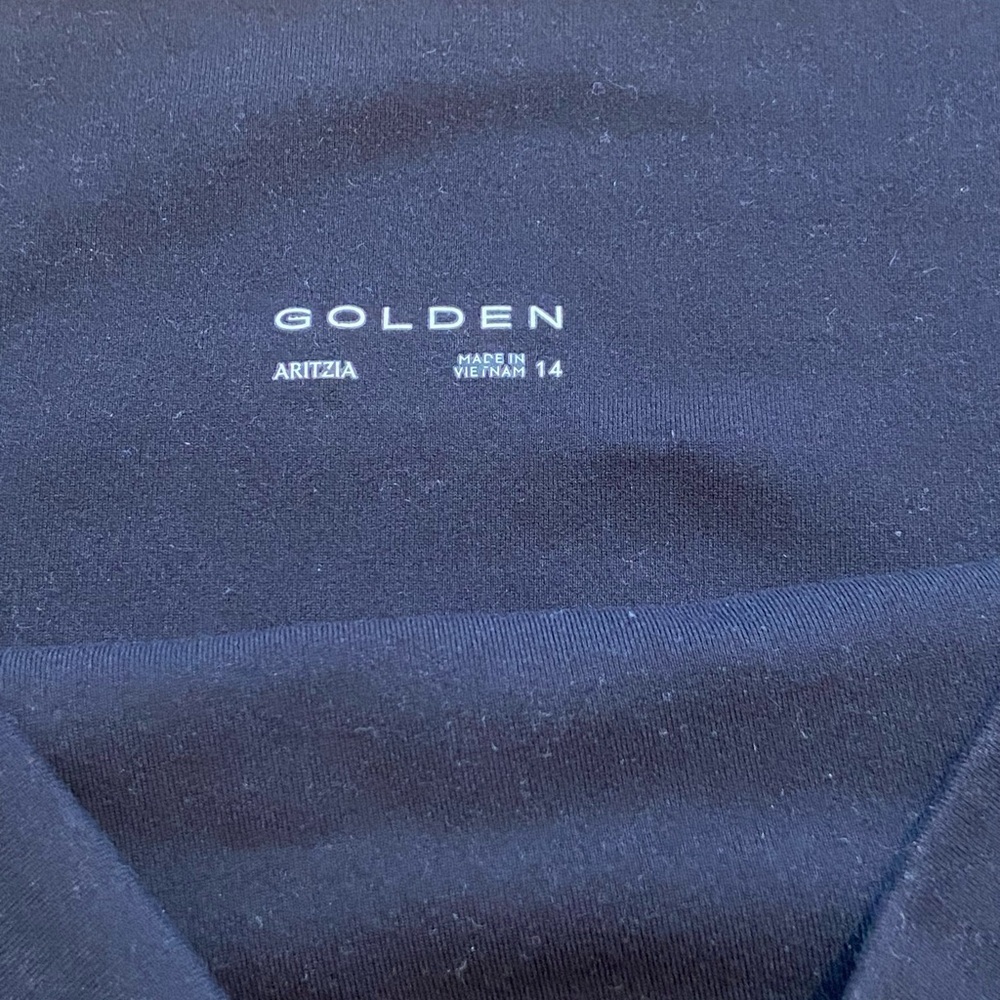 Aritzia GOLDEN Black High-Waist Shorts 5” Inseam Size 14 - Picture 7 of 7